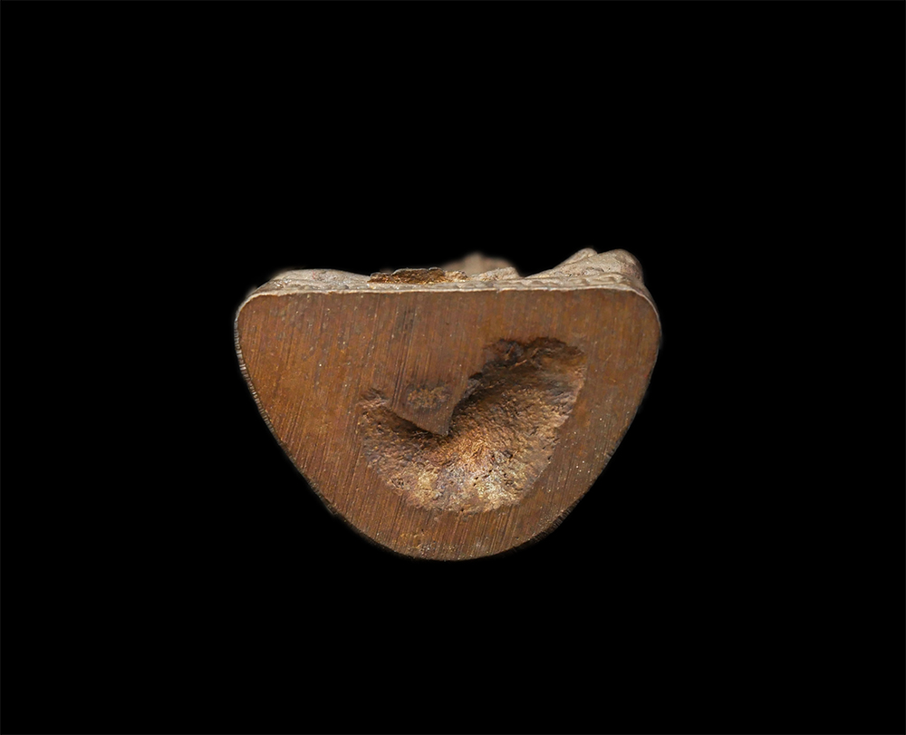 16Jun24 (2)cp.jpg - รูปหล่อหลวงพ่อสมหวัง โอภาโส วัดมณฑล อ.เขาสมิง จ.ตราด ที่ระลึกงานผูกพัทธสีมา ปี2544 เนื้อนวะโลหะ พระเก่าสวย มวลสารดี สร้างน้อย น่าเก็บสะสมบูชา พร้อมกล่ [..] | https://kamulet.in.th